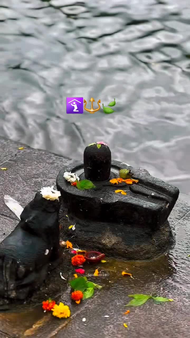 @🌙ऊं_नम _शिवाय 🔱📿🌍