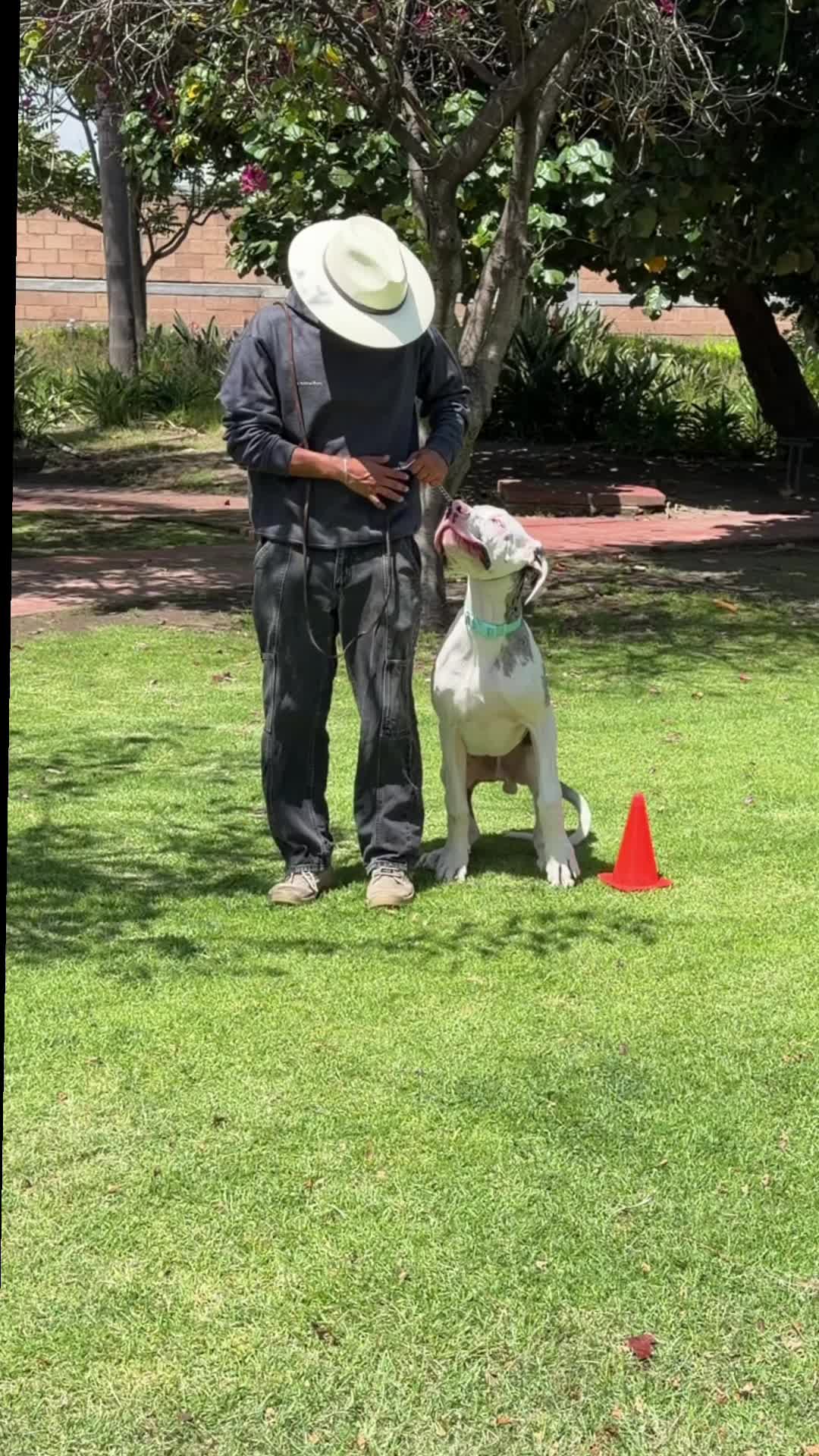 @gigante_pero_bebe