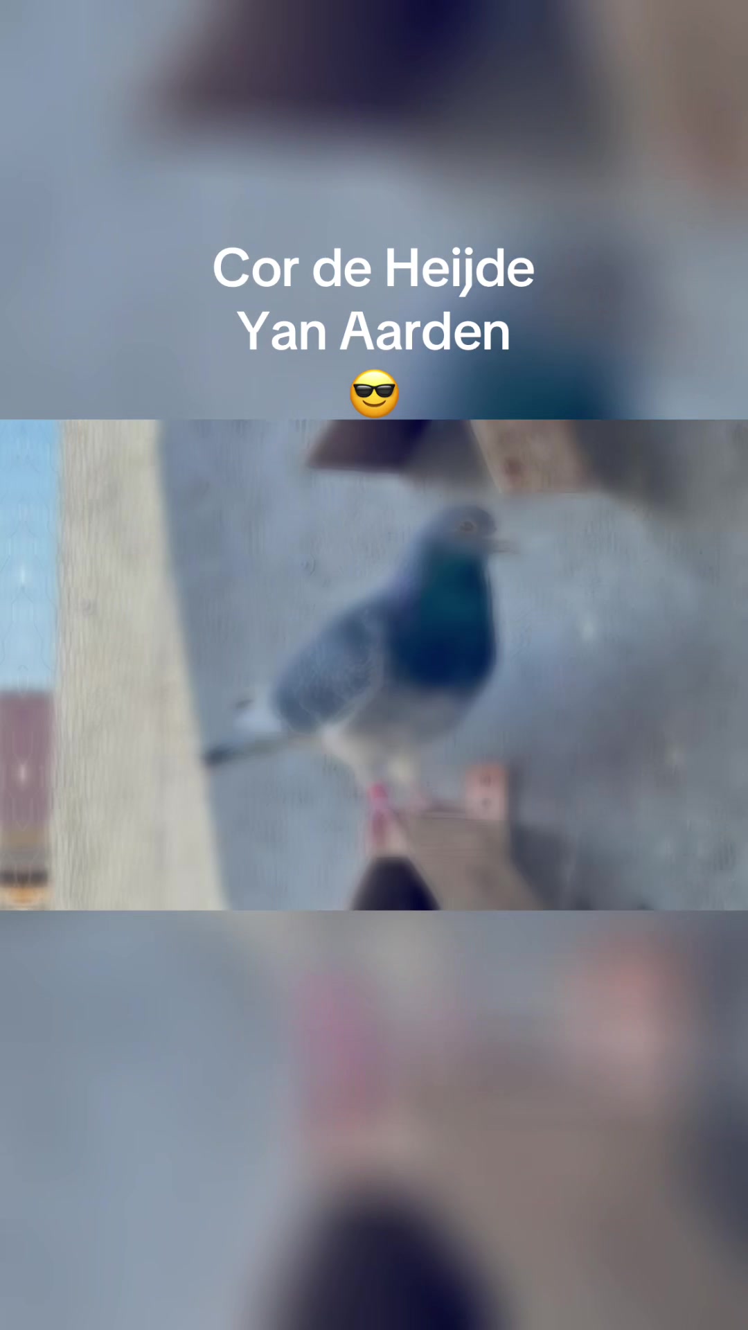 @Adrian Burtea