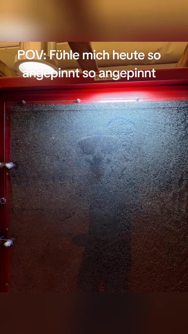 @Susi & der Dosenöffner 🤔🤣
