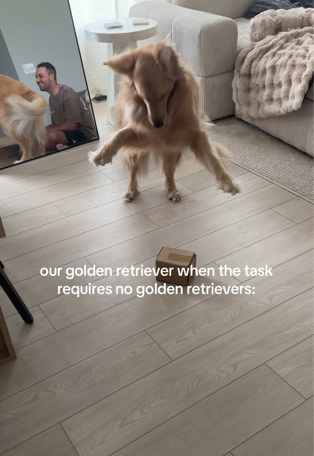 @novathegoldenn