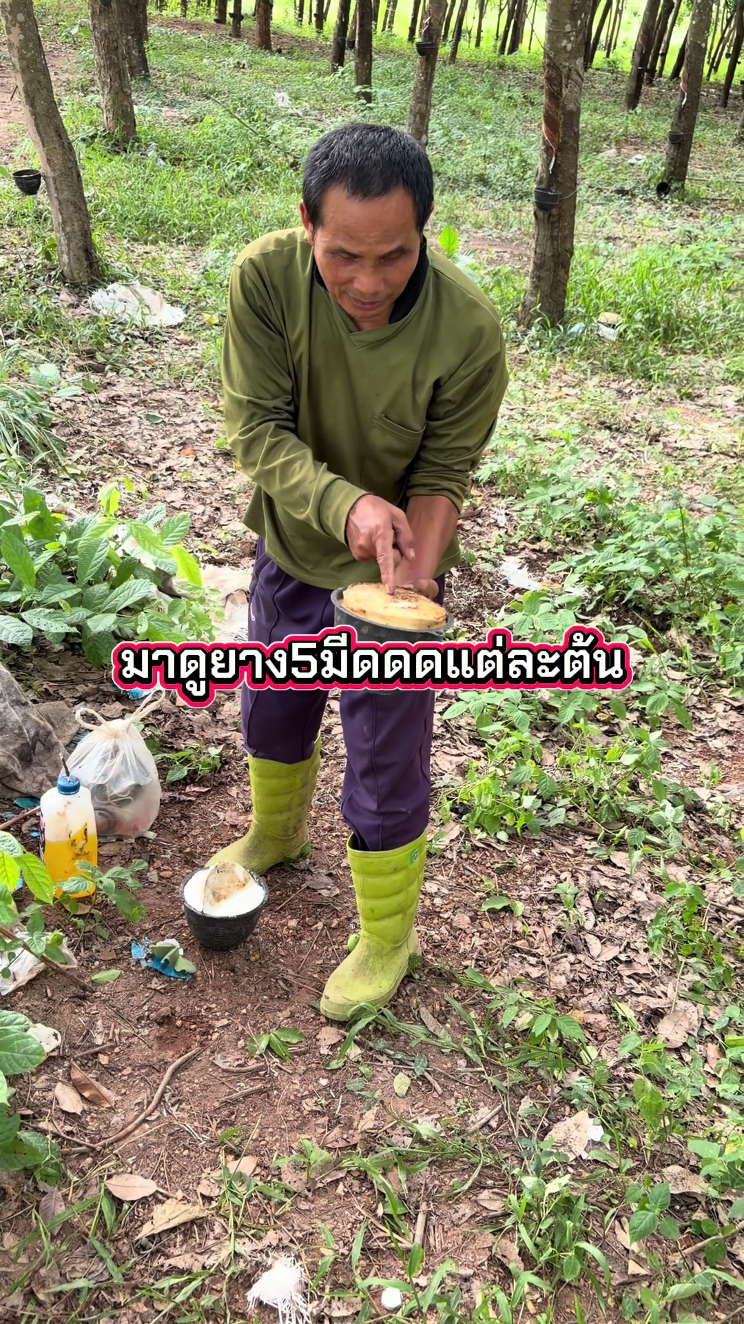 @นัดดาชอป