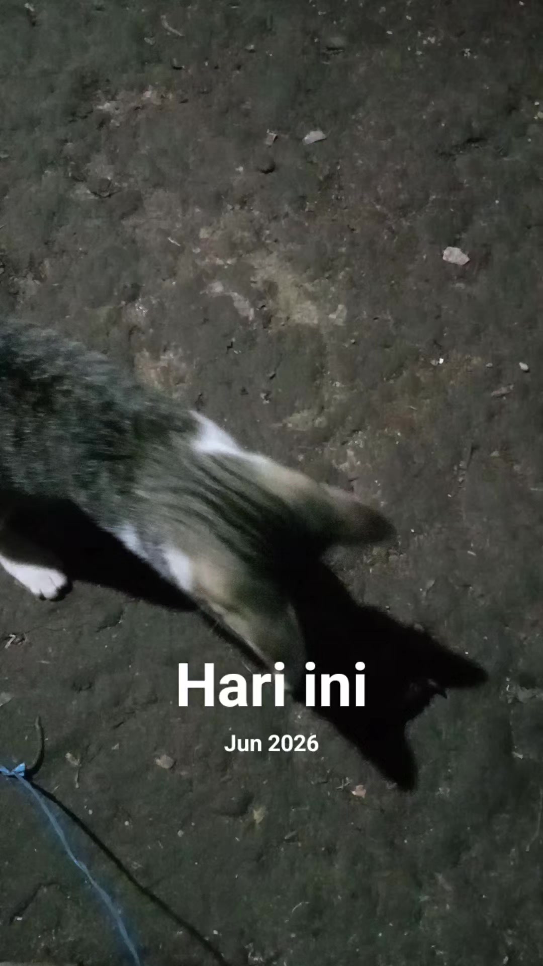 @cinta dalam"doa