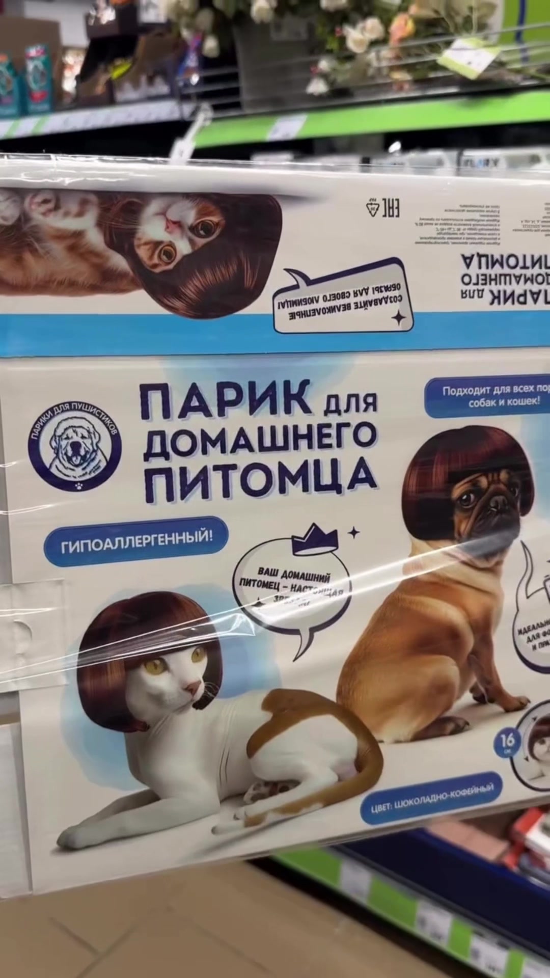 @ДИМА ЯНДЕКС