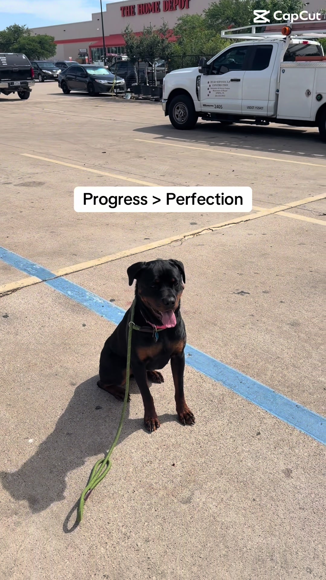@Sentinel K9 | Dog Training