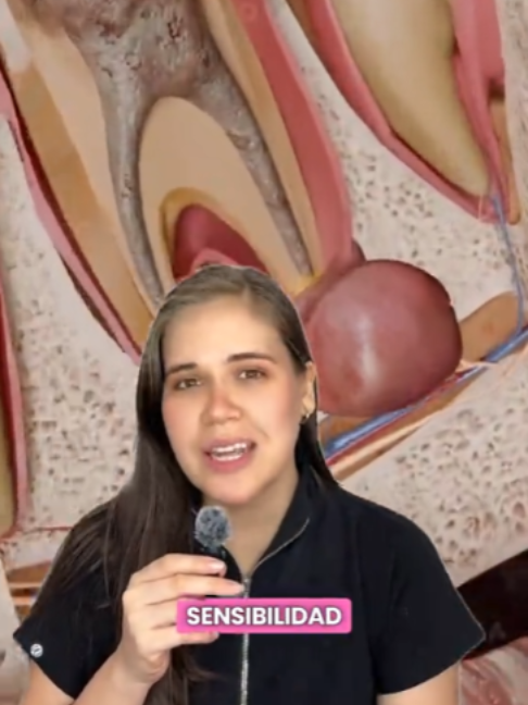 @odontologicals