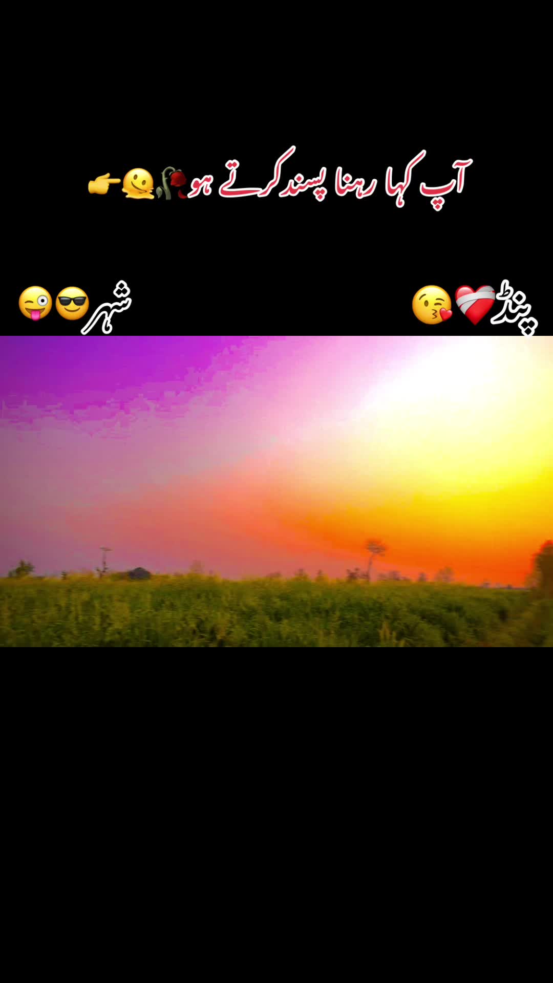 @🌾🌱پنجابی کلچر 🌾🌱