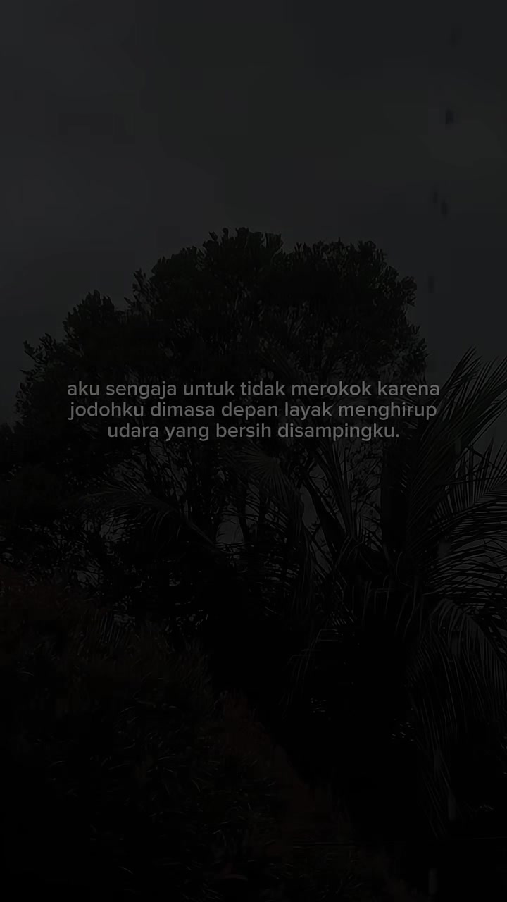 @Ardi