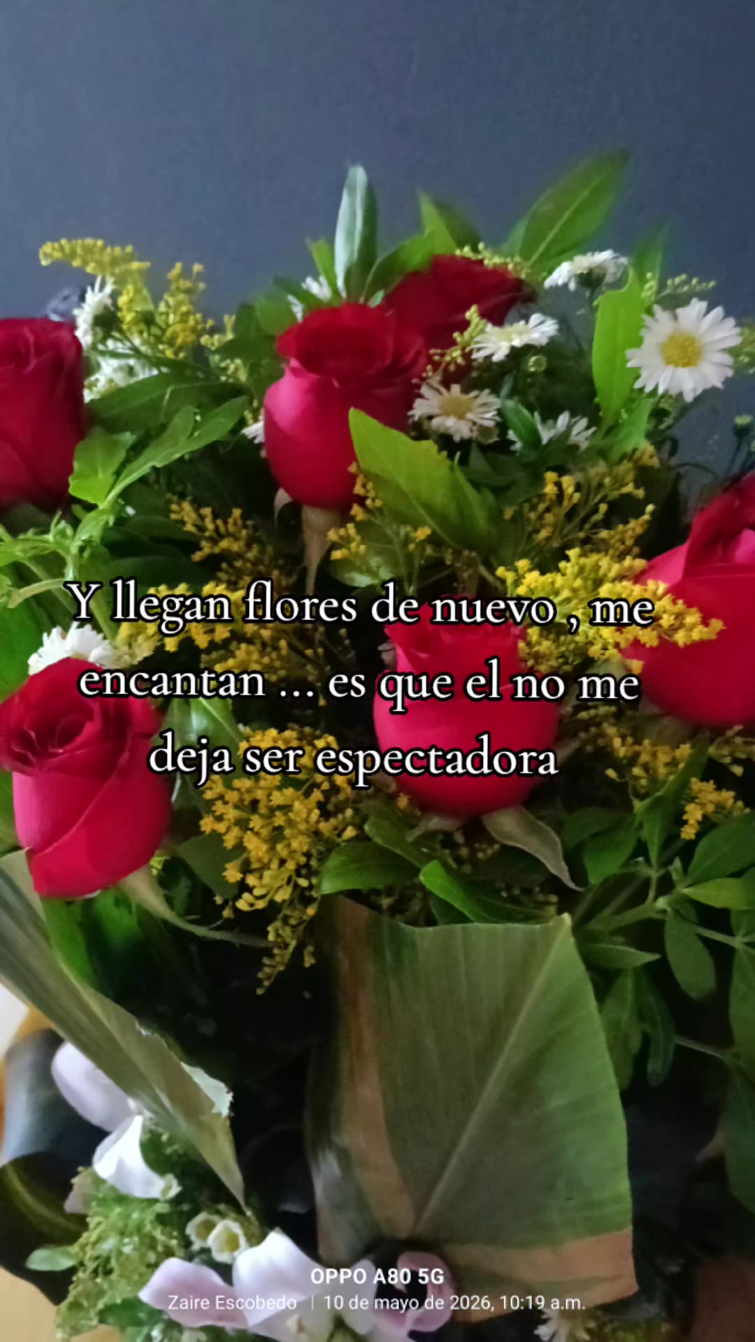 @Zaire Escobedo Amaya