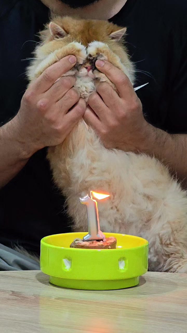 @سێ پشیلەکە🐾