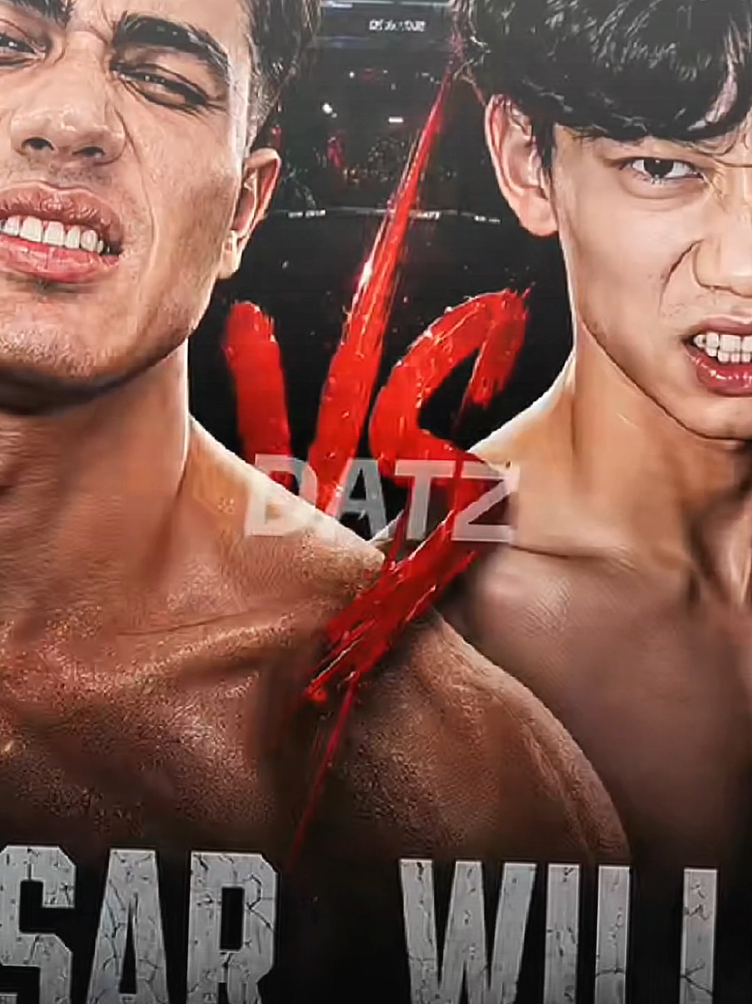 @FANS BOXING