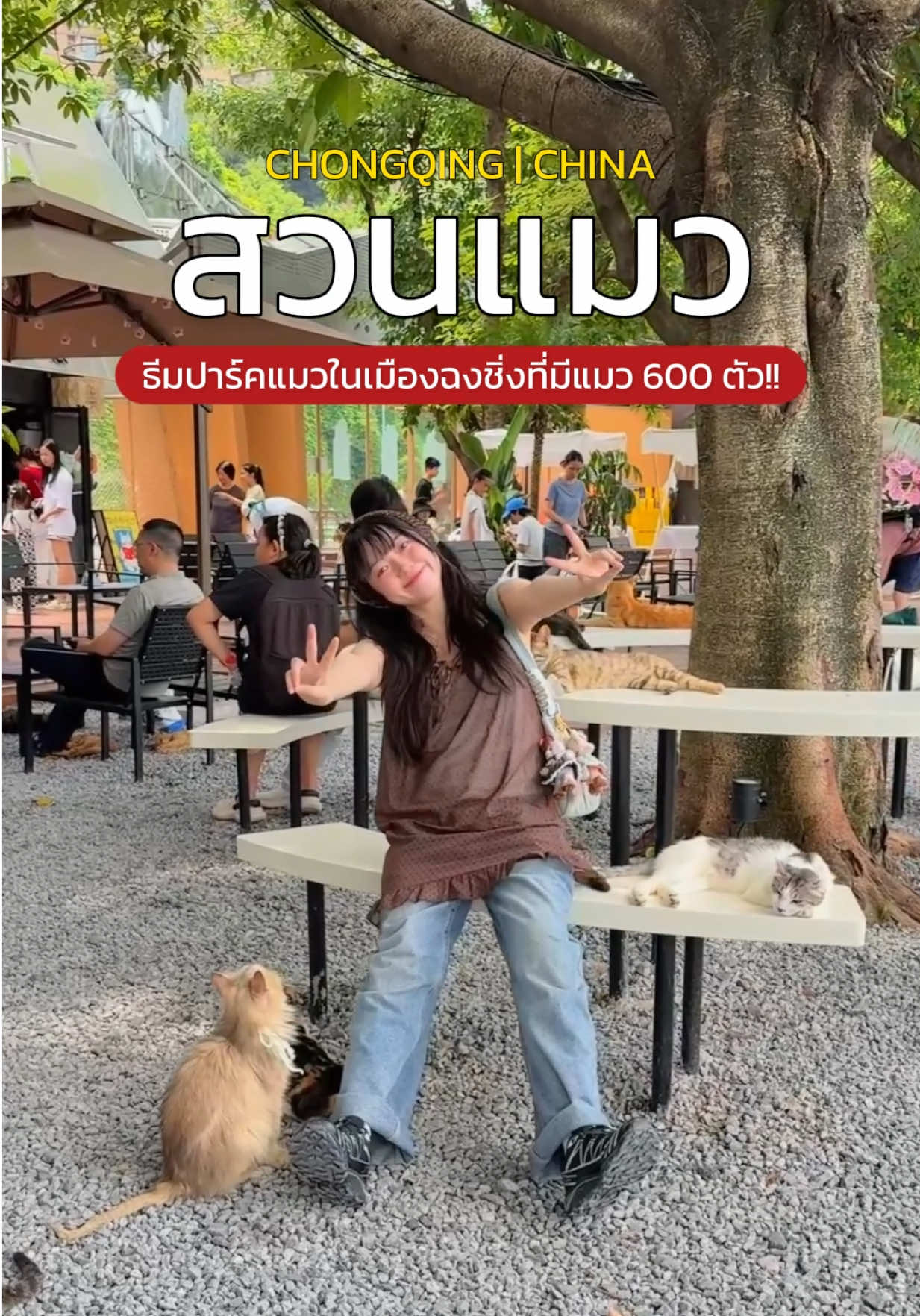 @เปากับเกิร์ล🍰✈️