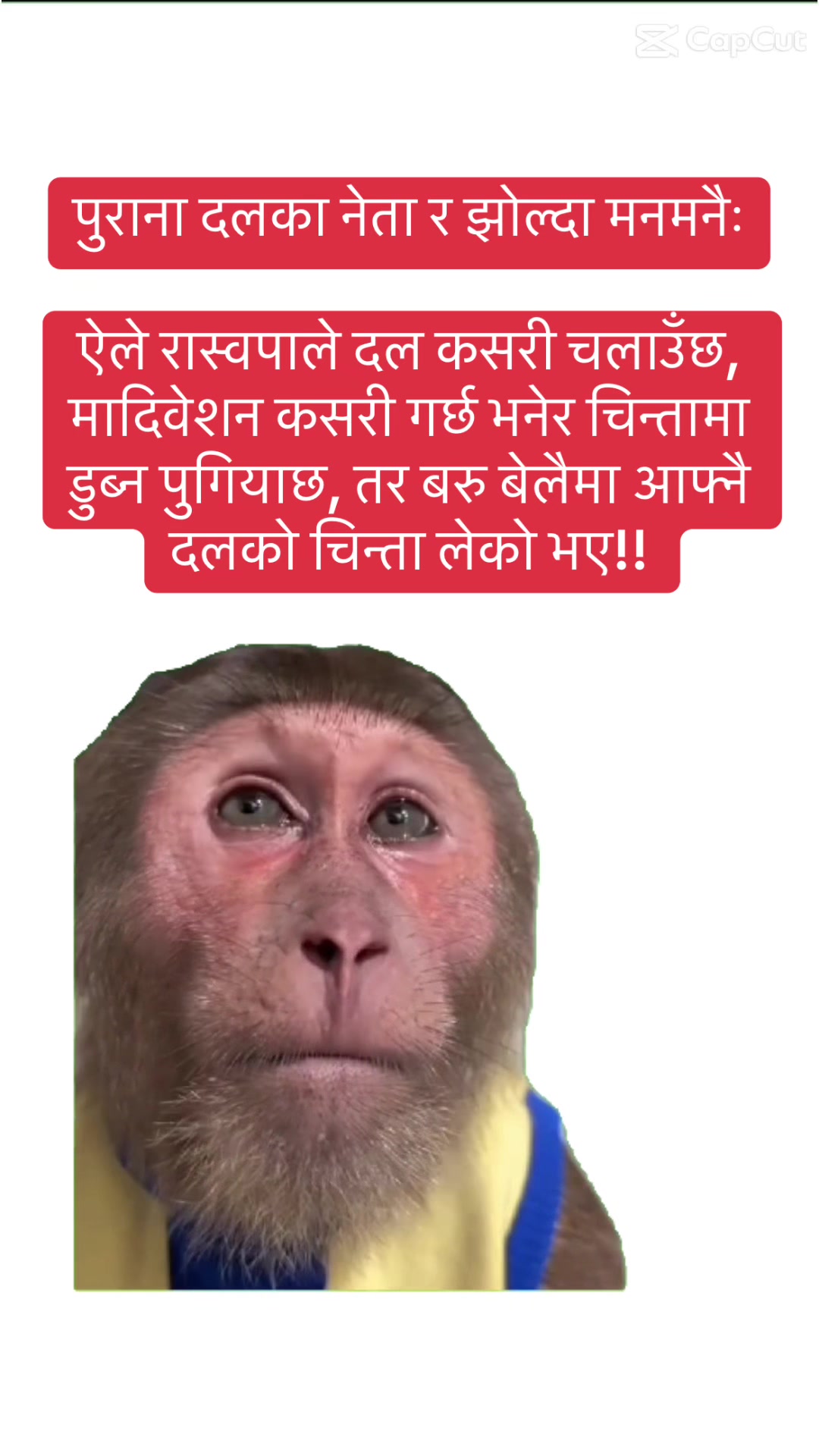 @Raj S
