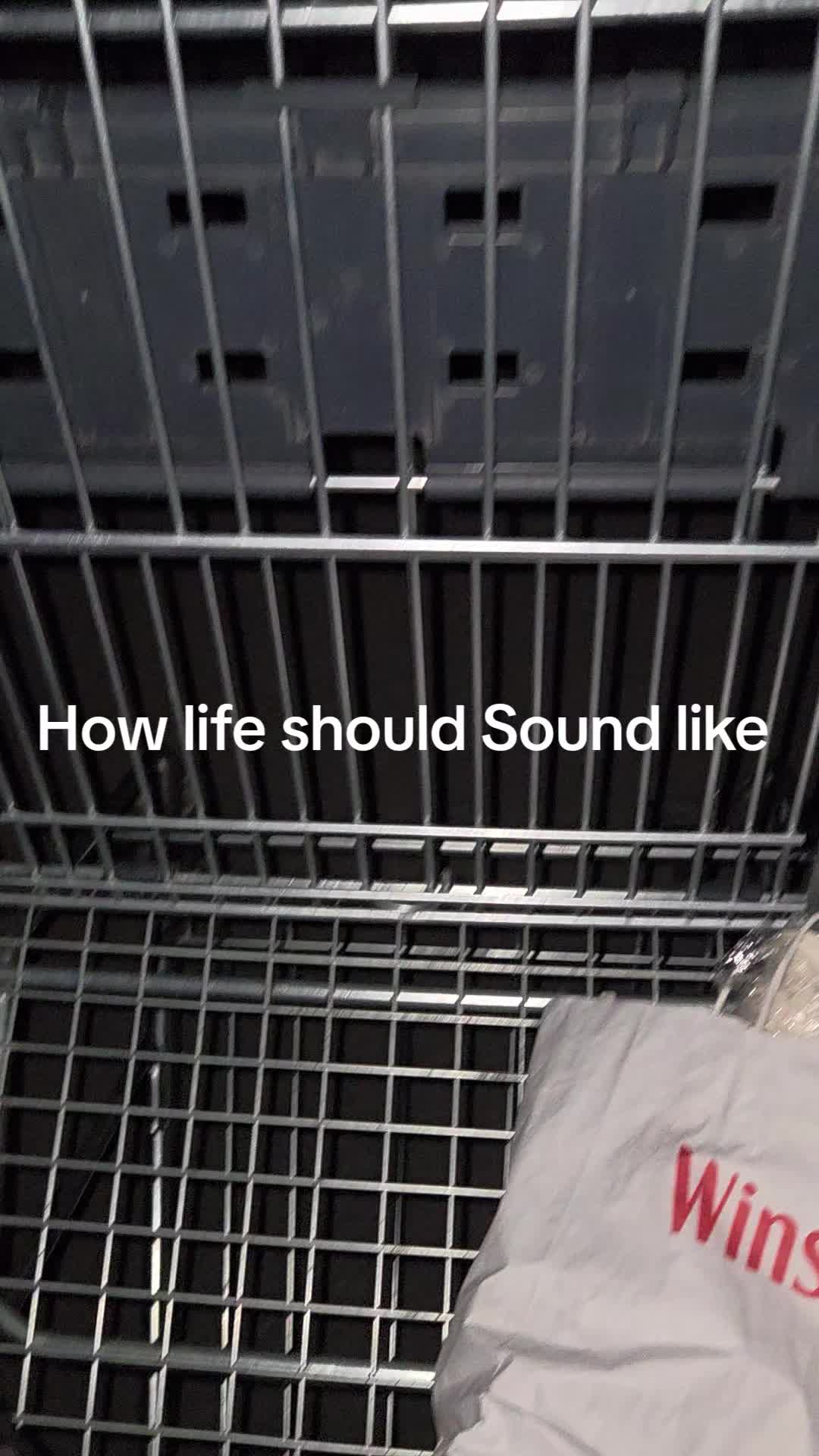 @LeiLei