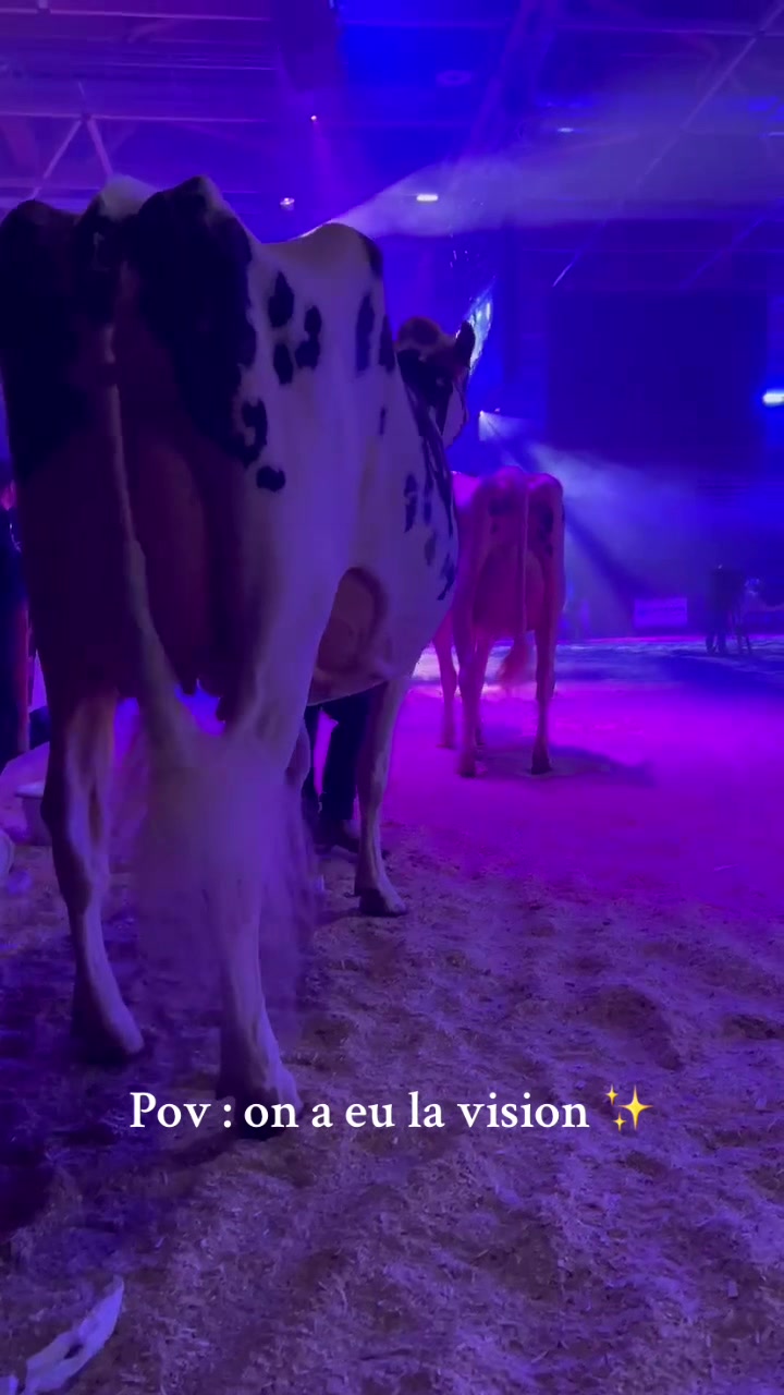 @Chloé 🌷🐮