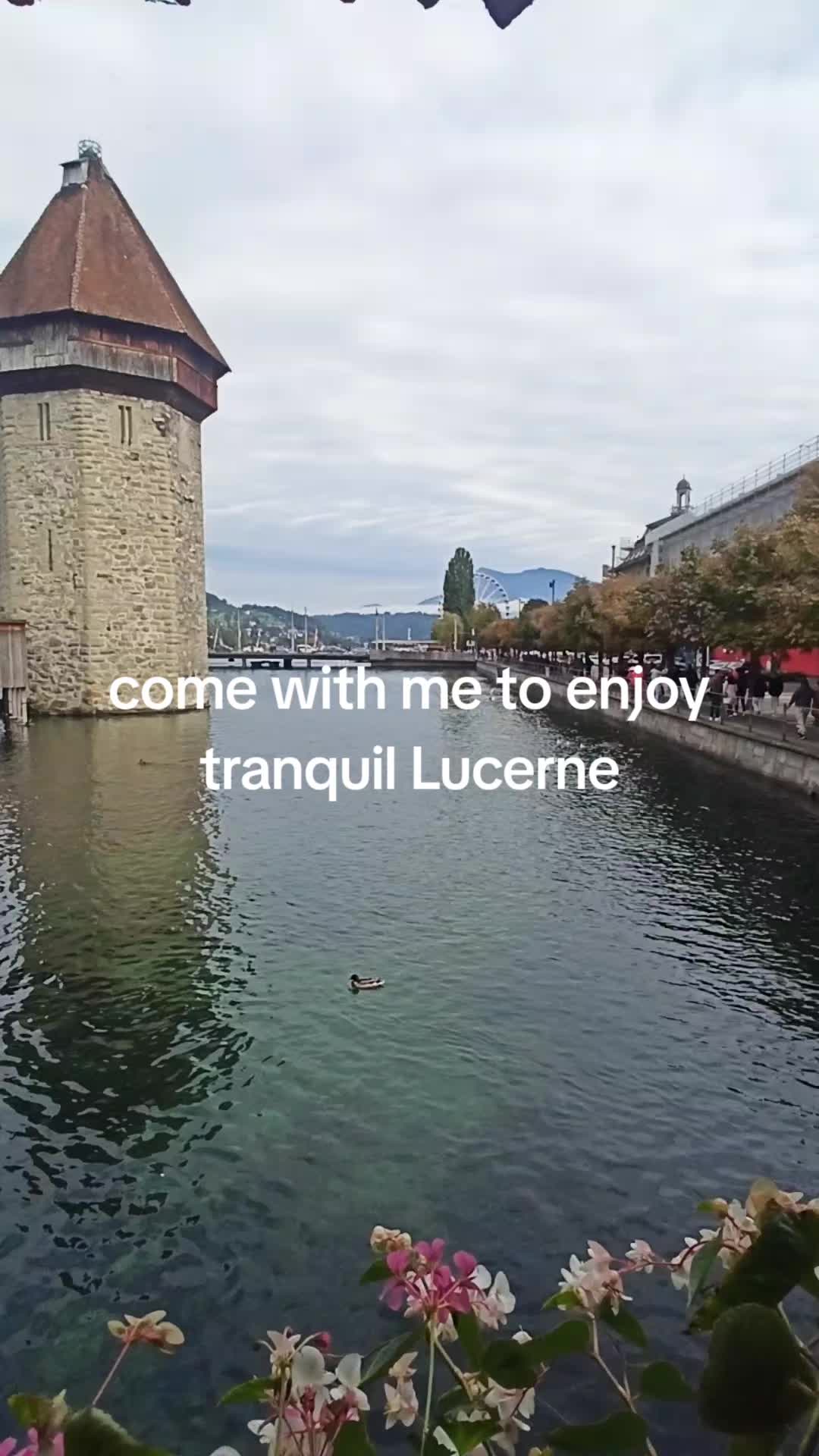 @moneymunlee