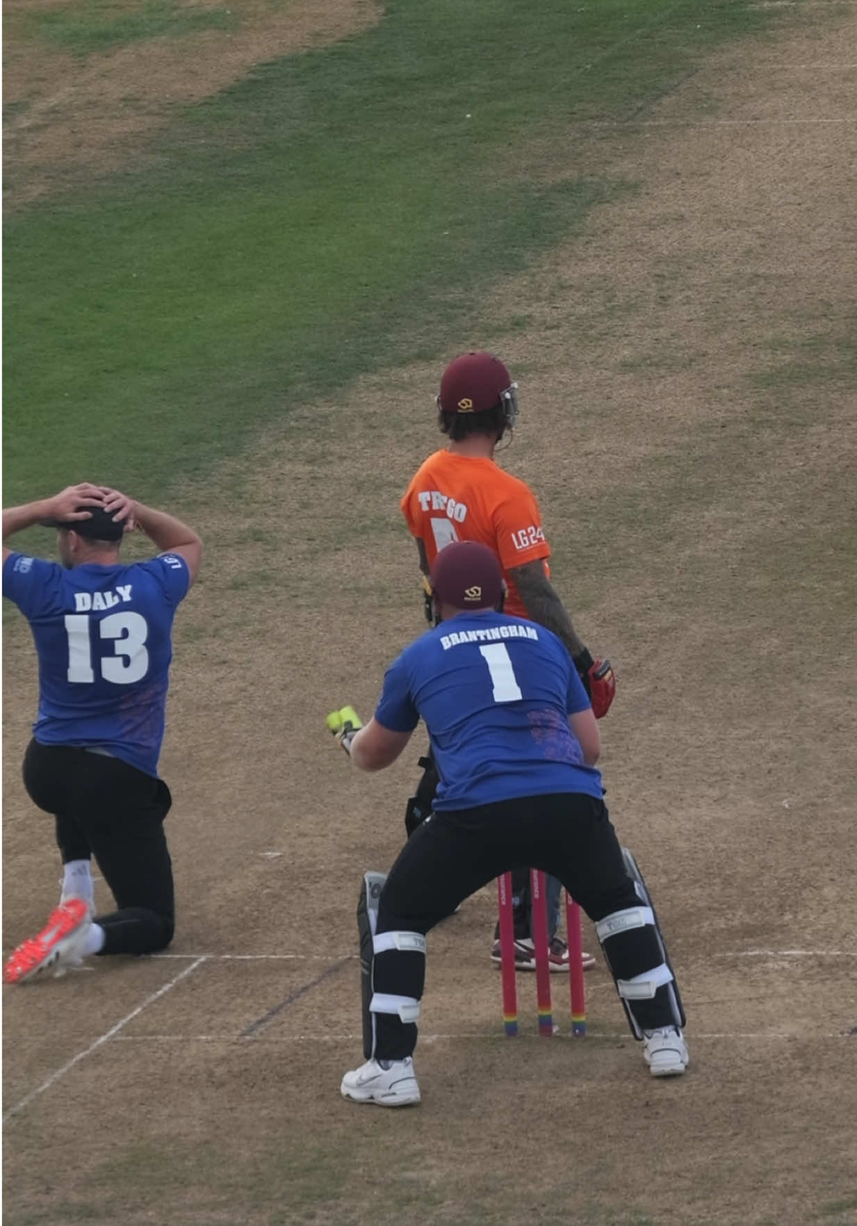 @Somerset Cricket