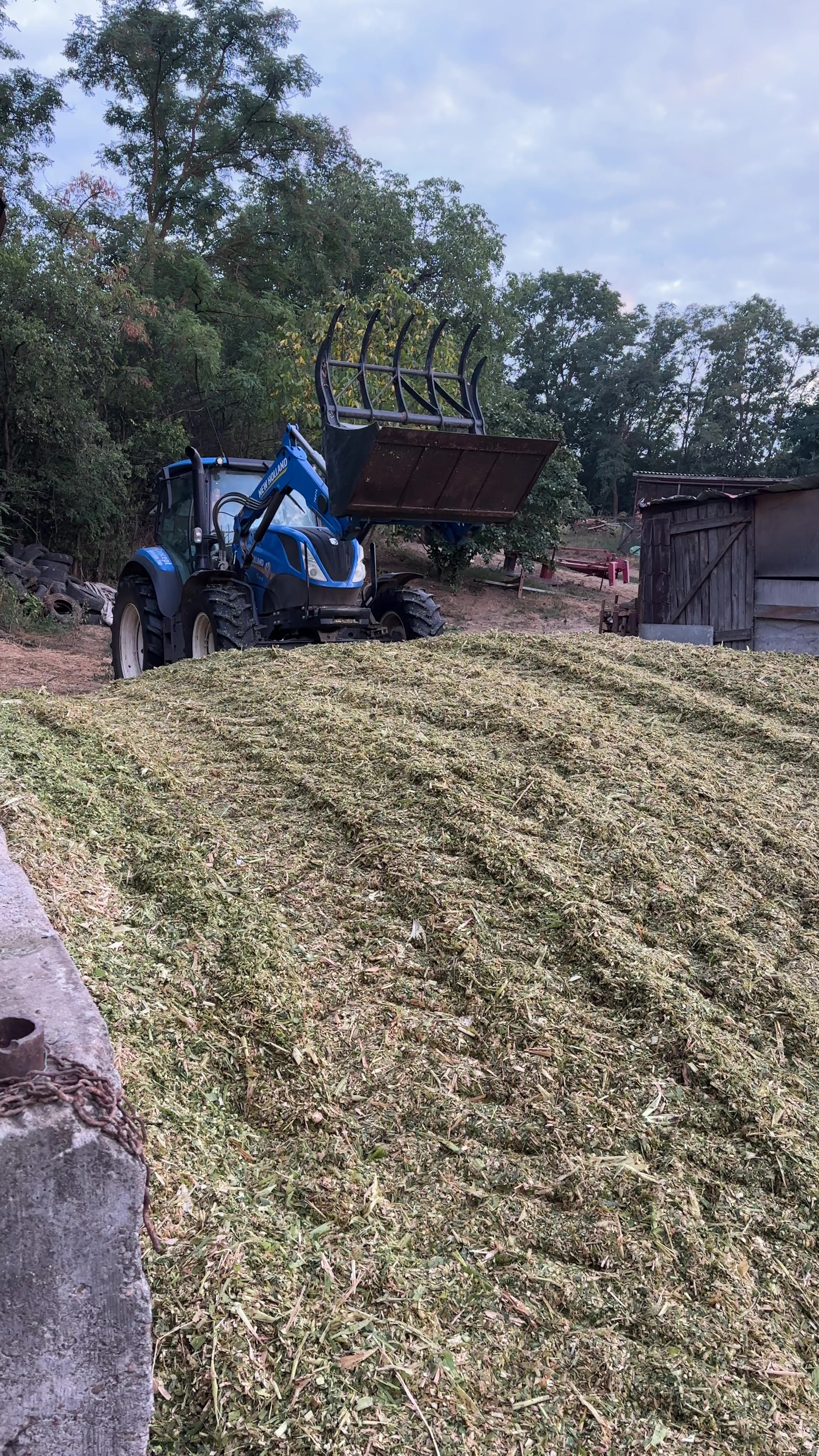 @Cătălin