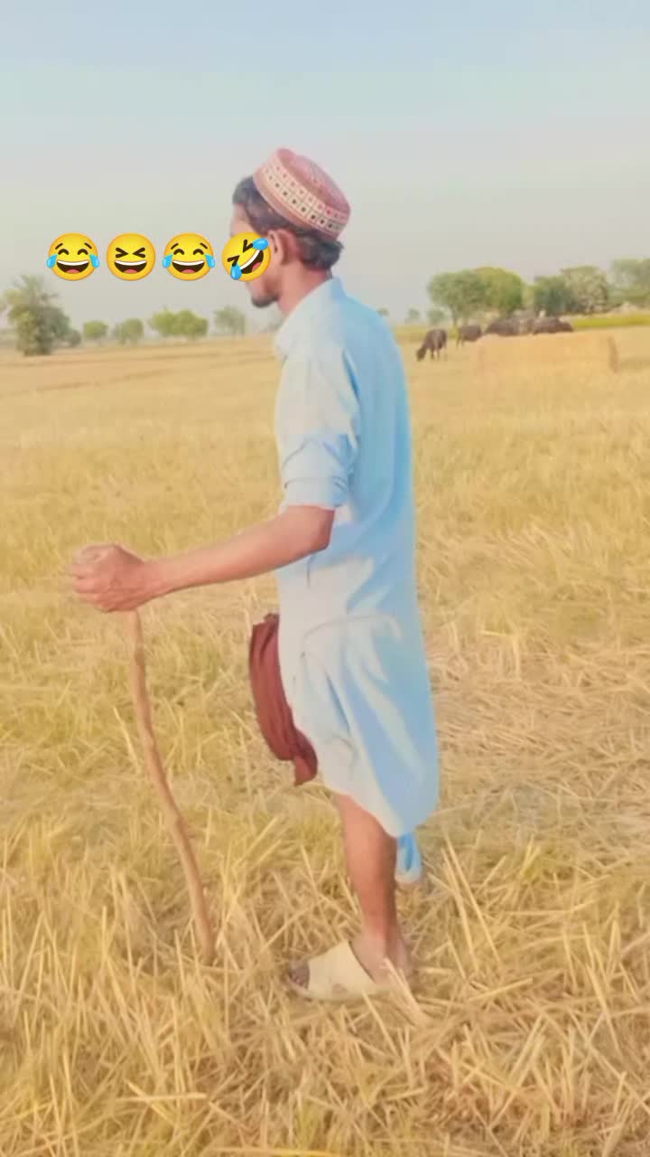 @پینڈو آفیشل🤪🤪