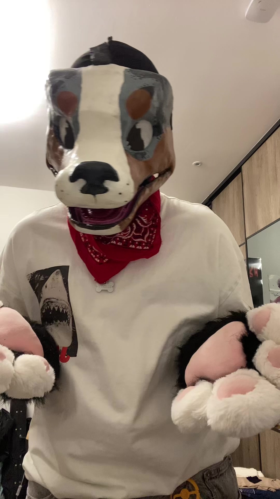 @⋆˚࿔ ☘️ 𝐓𝐫𝐞𝐟𝐥𝐞 🐾˚⋆