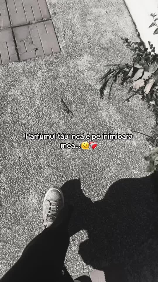 @꧁🖤🪐.•𝓶𝓮𝓵𝓸𝓭𝓲•.🪐🖤꧂