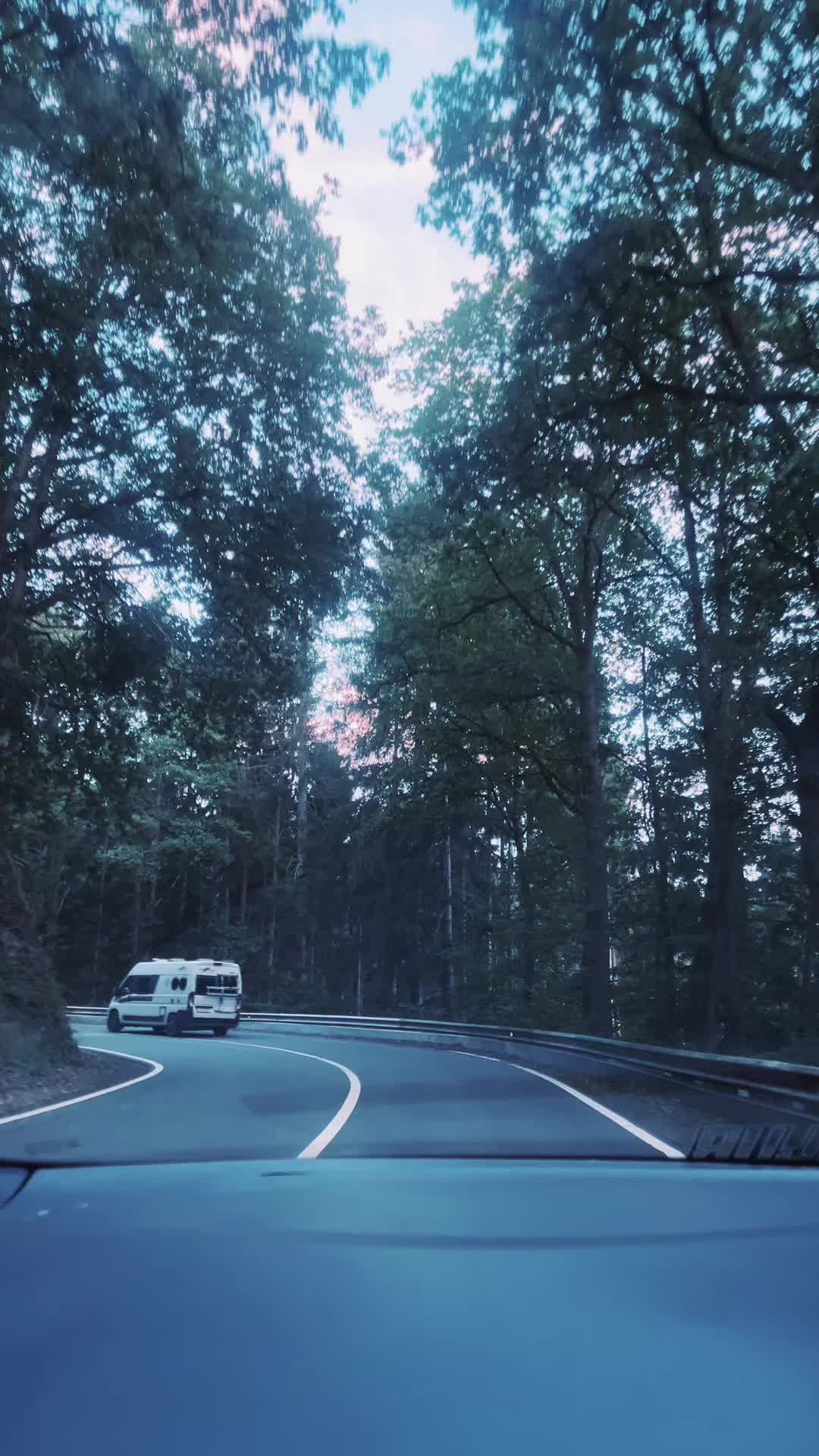 @milliefayeee