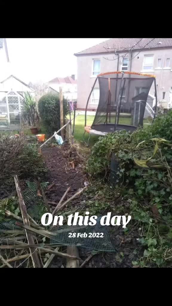 @Glasgow_Tree_Care