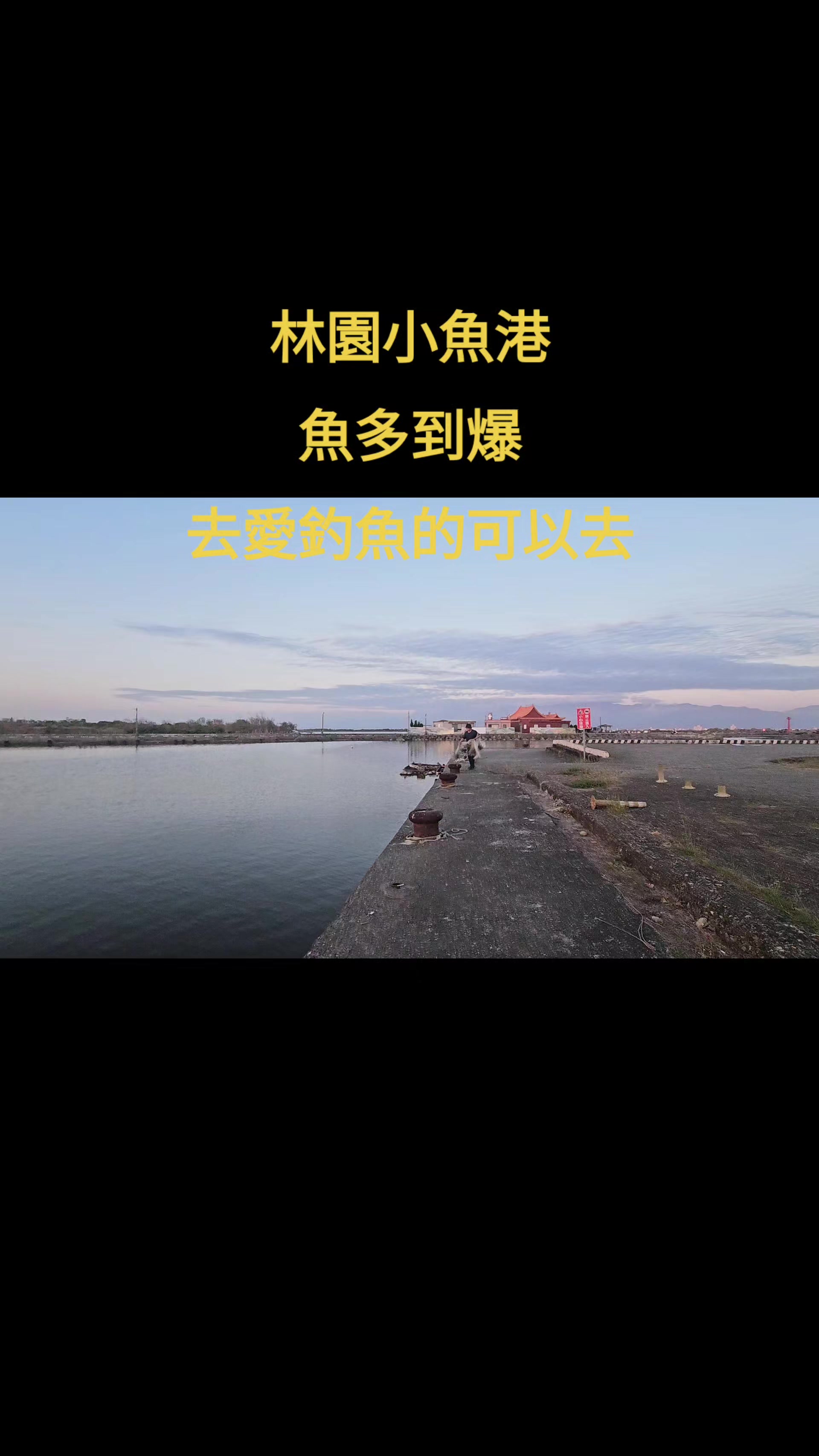 @高雄特派員