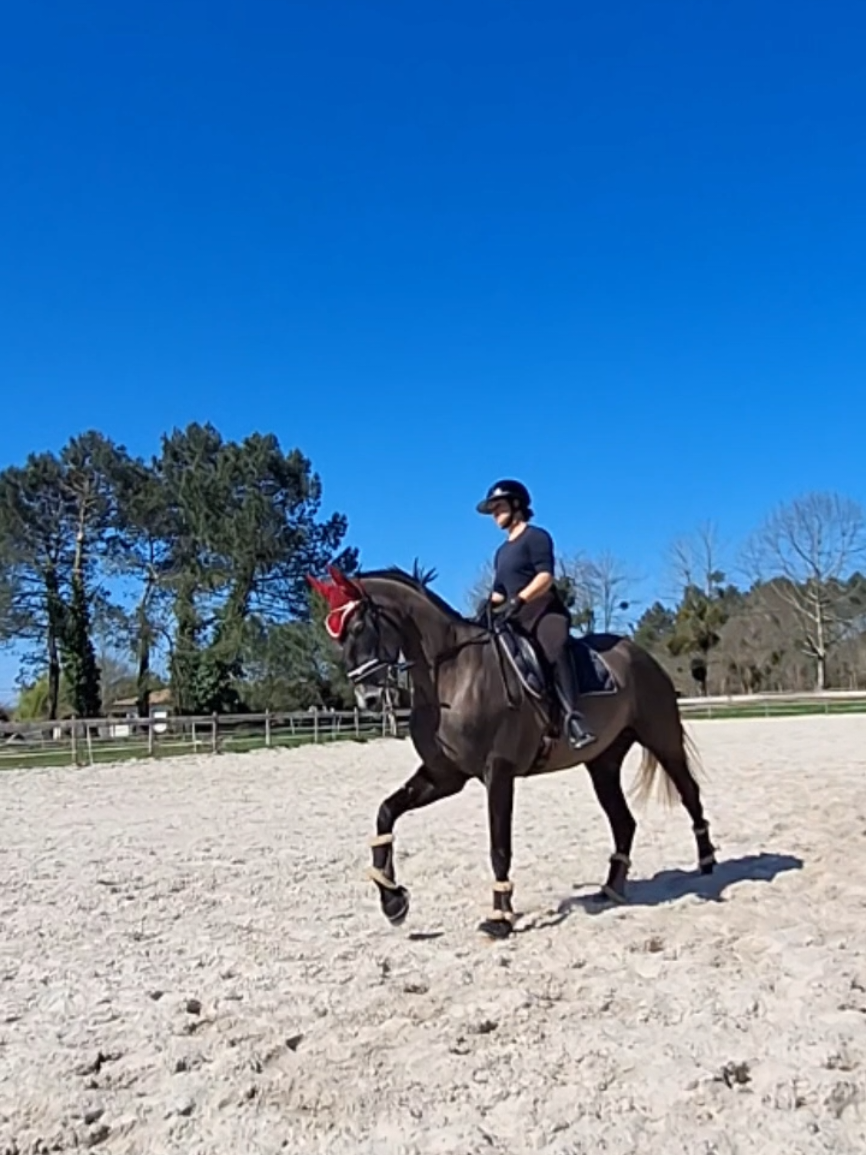 @Une.fleur.a.cheval