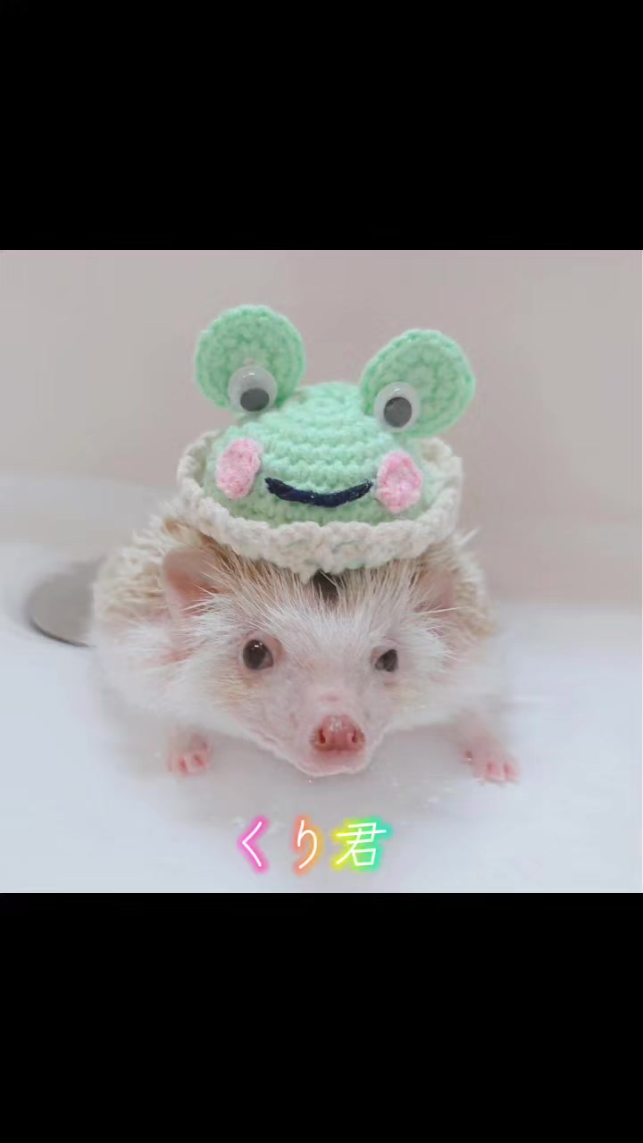@ðŠãã«ããðŠ