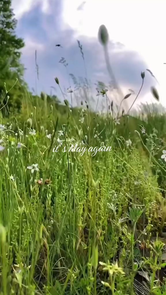 @aestheticteoo