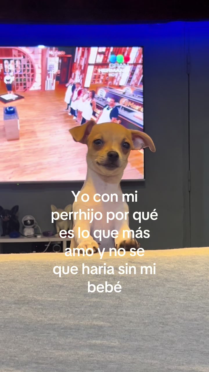 @c4rolrodriguezz