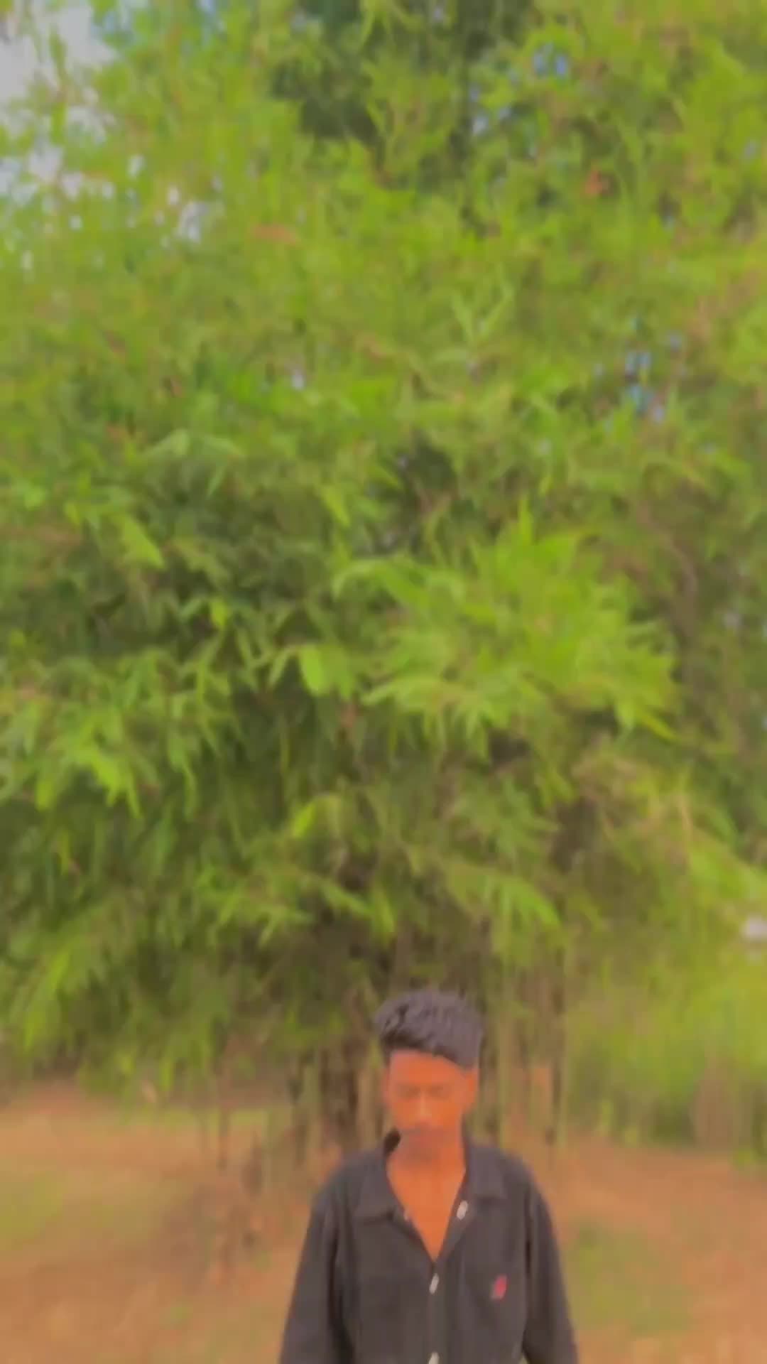 @๐๐ซ.๐๐ซ๐ฎ๐ง ๐ฌ๐๐ก๐๐ง๐ขโฏโ