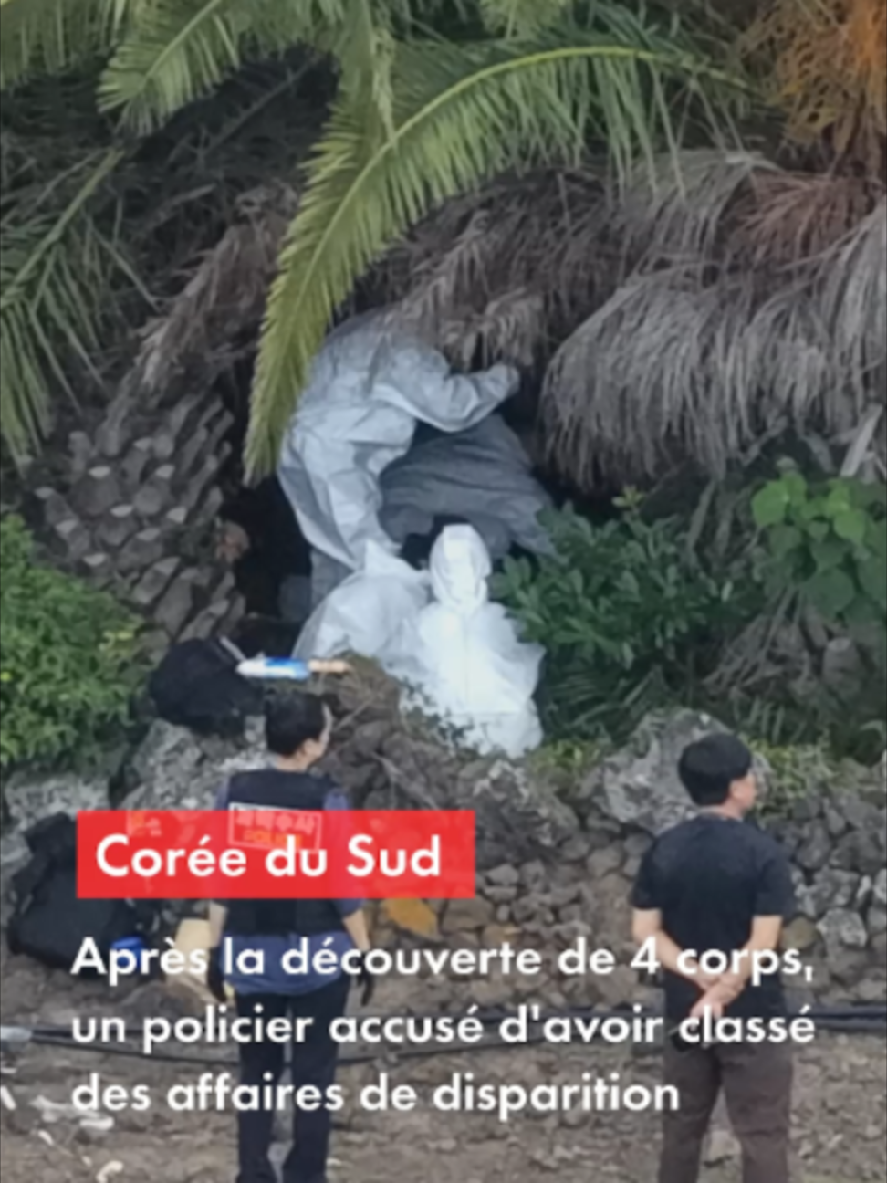 @CNEWS
