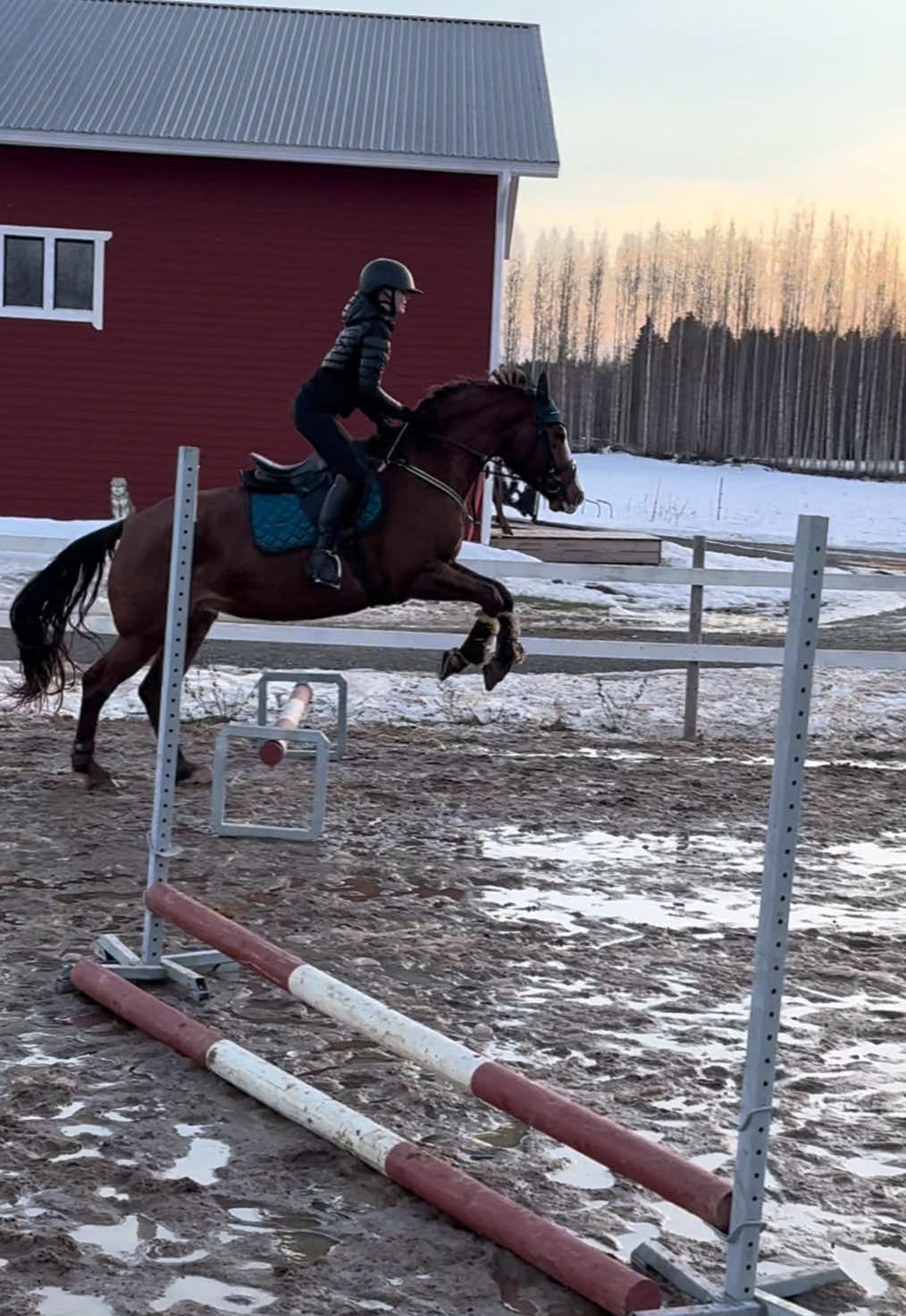@Equestrian Veera🏇