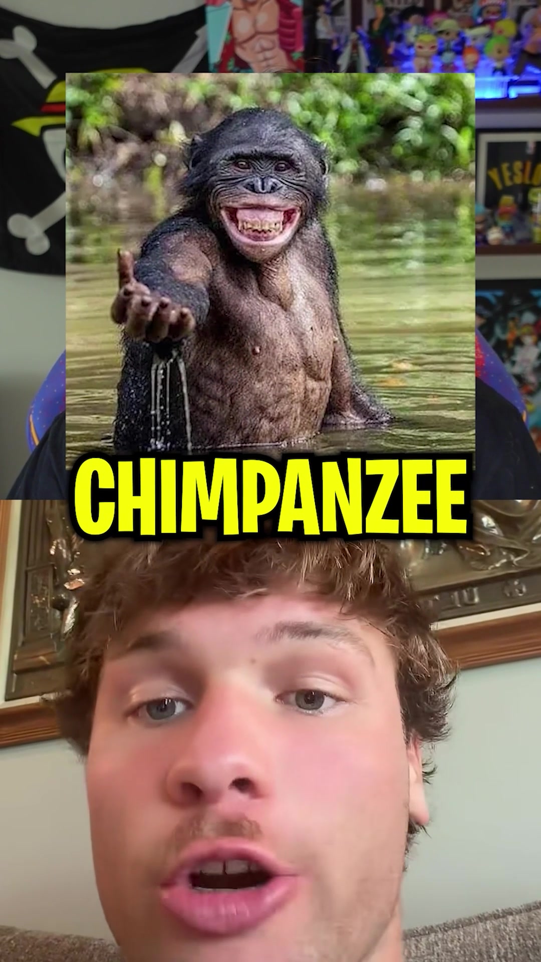 @yeSloth