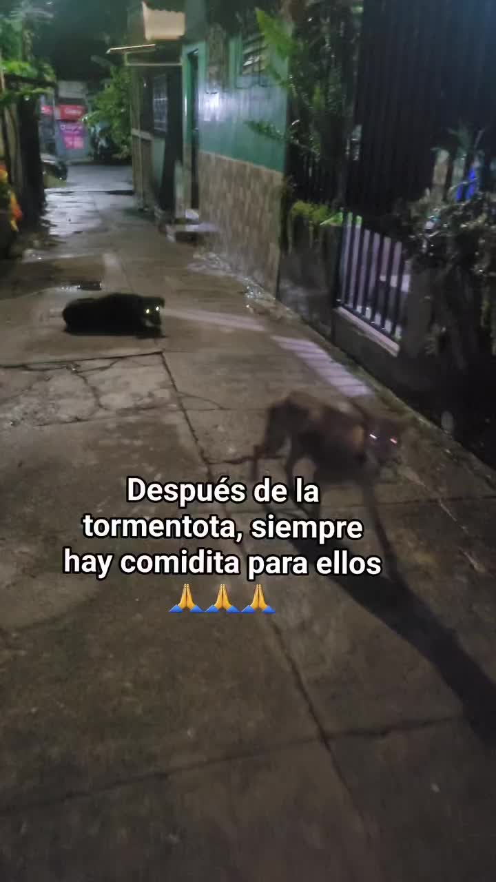 @𝕃𝕚𝕤𝕤 ℝ𝕖yes🇸🇻