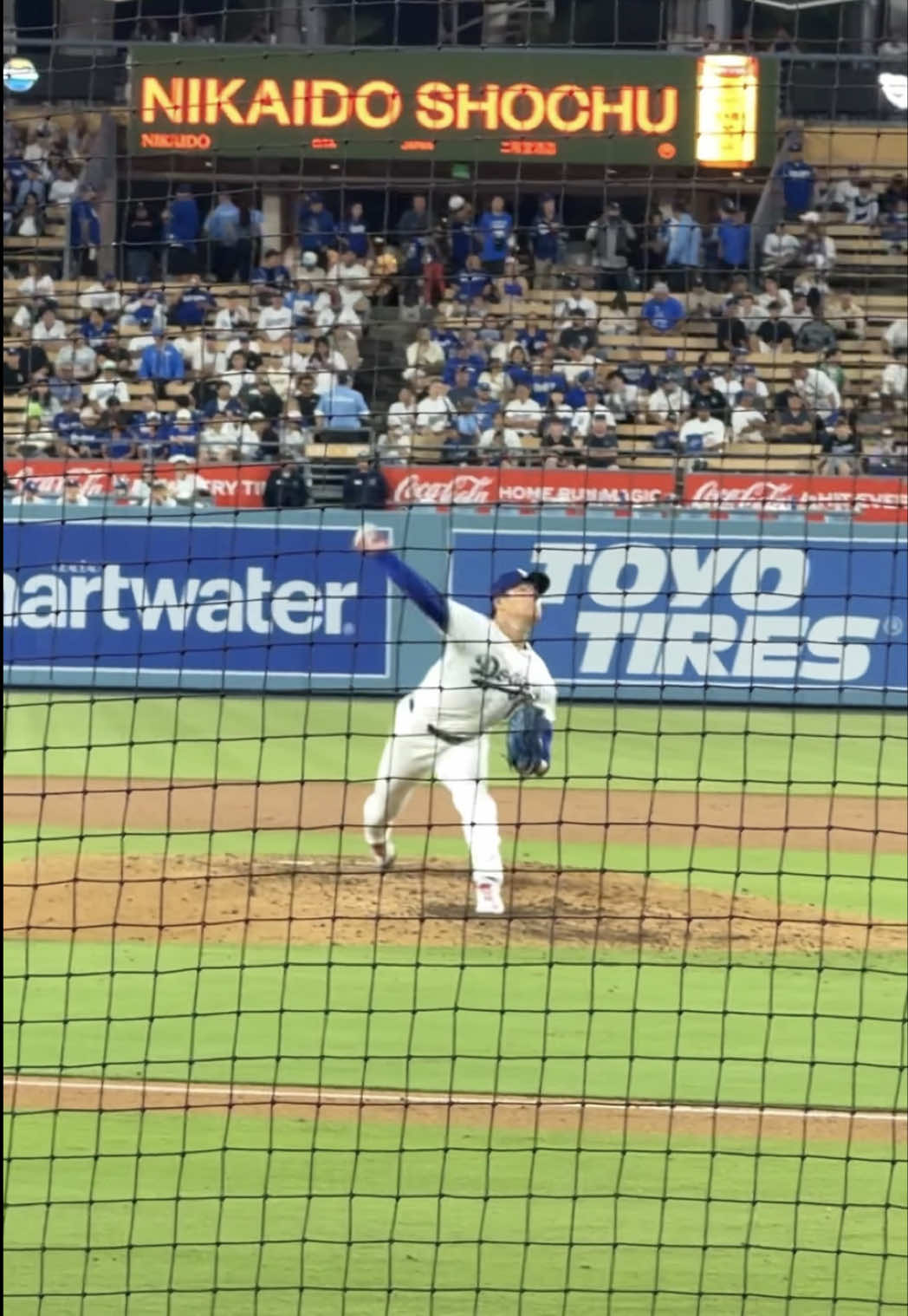 @山本申伸🥕🦑