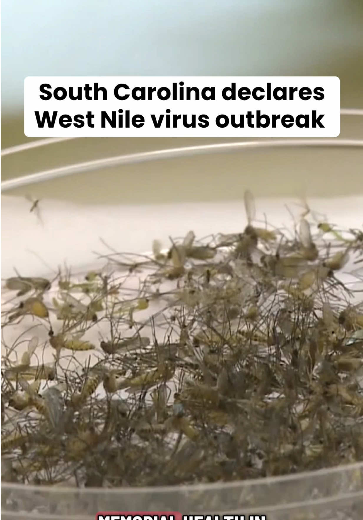 @WRDW News 12