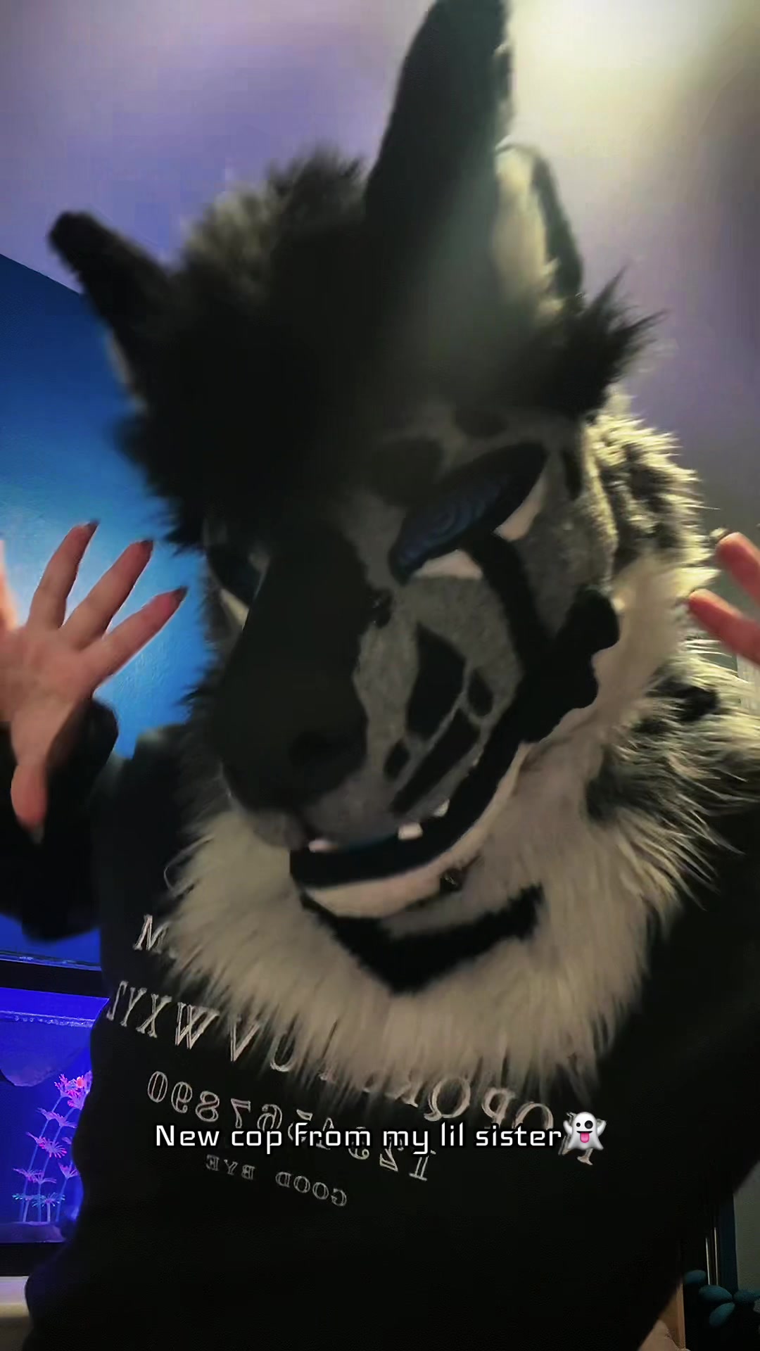 @sonar_hyena_shark