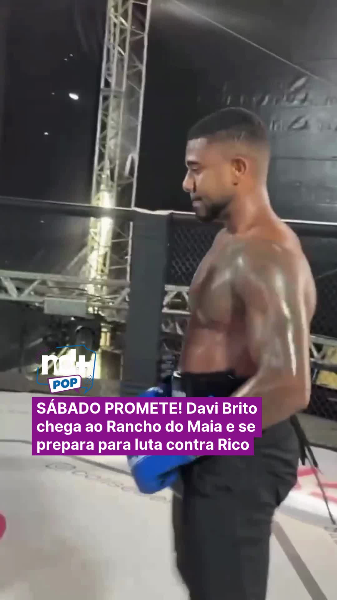 @portalndmais
