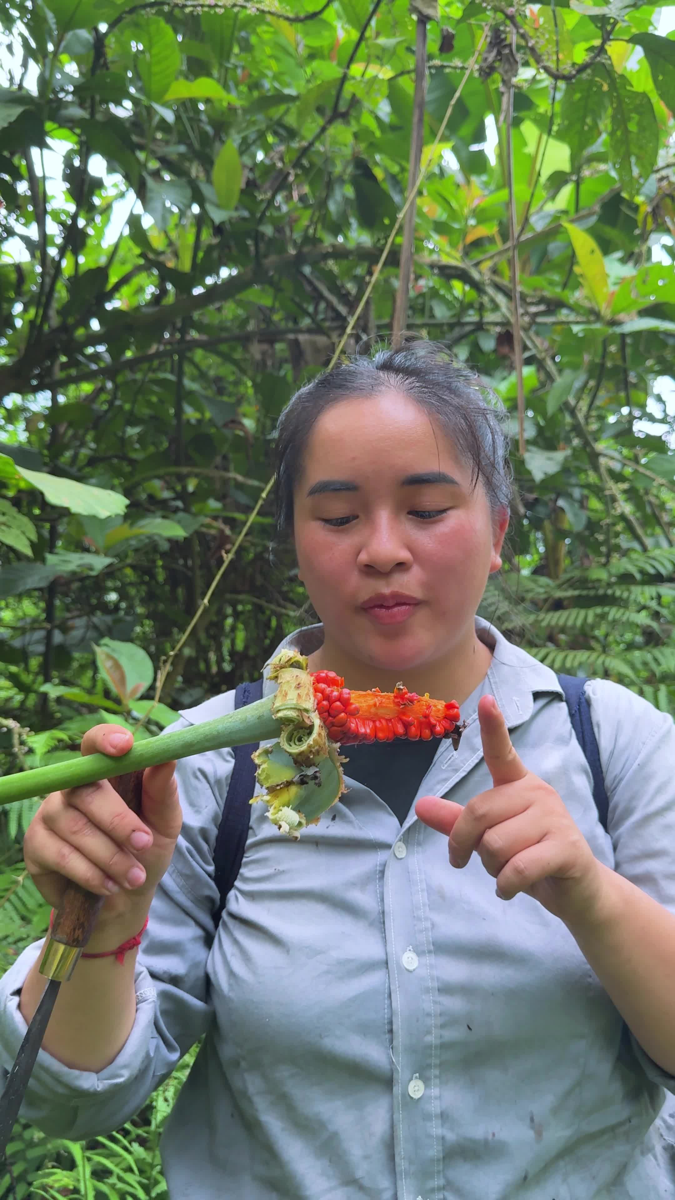 @Sức T&agrave;y