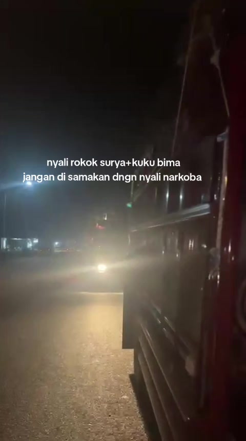 @sintetek ijo_03