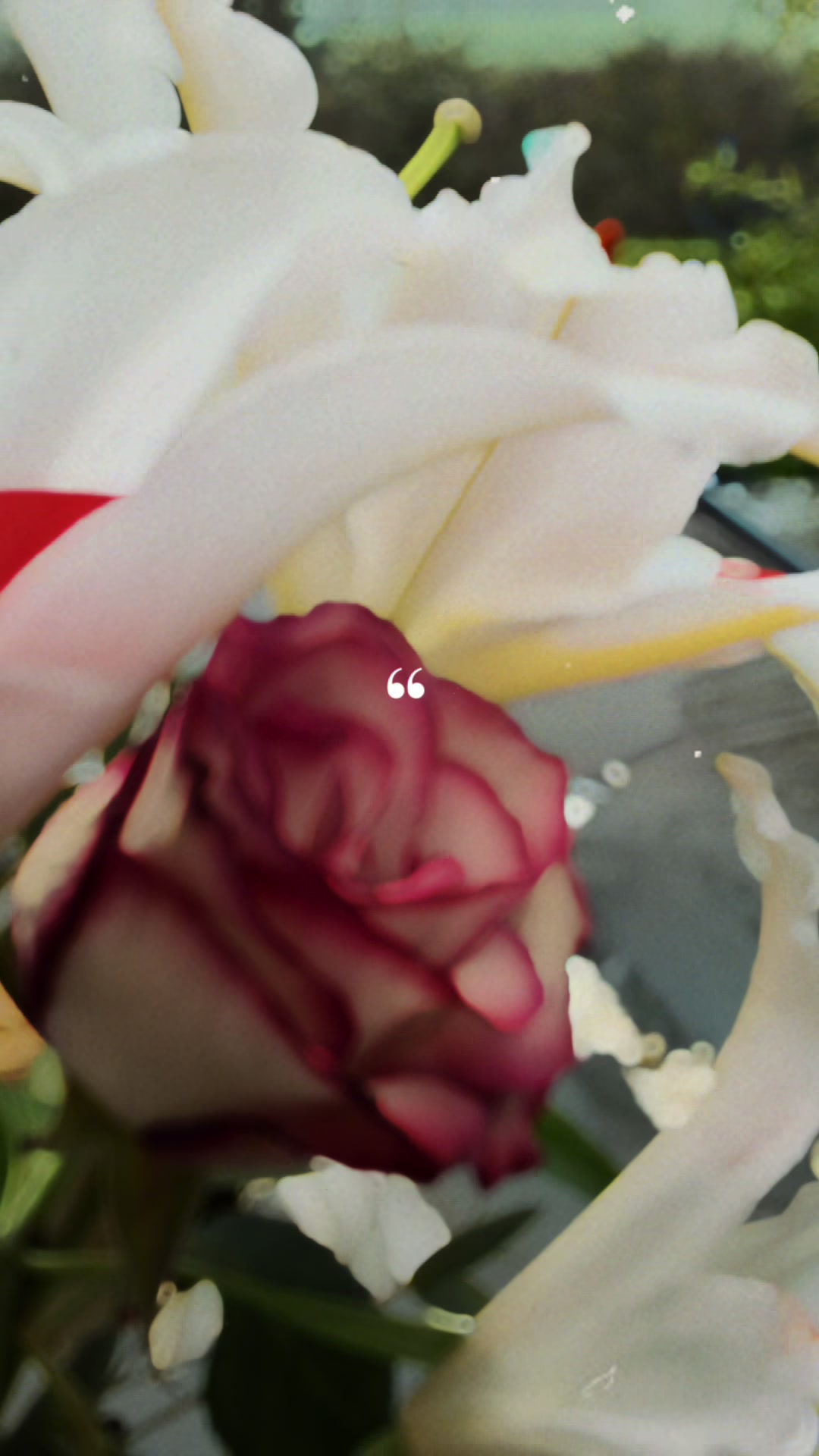 @SM Ling