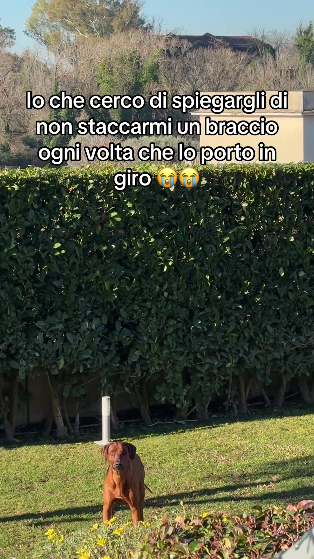 @danilo.gneo