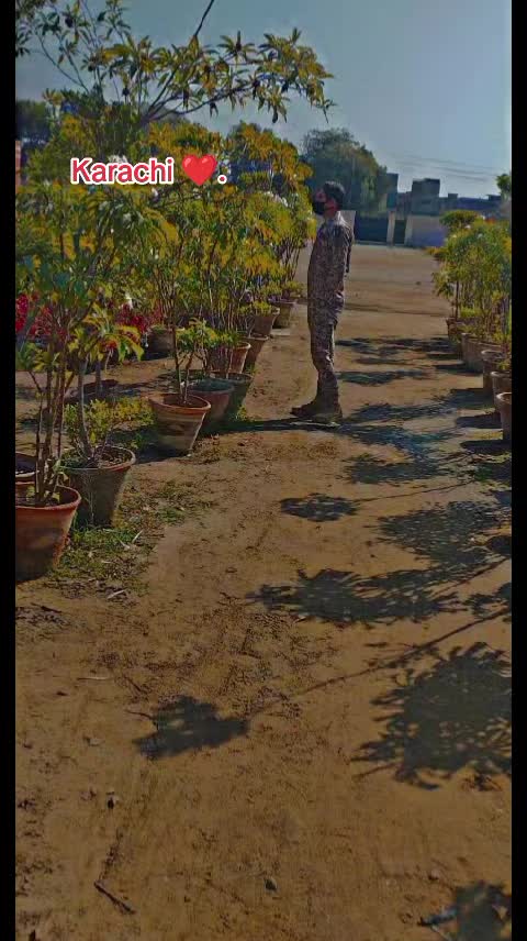 @maniAfridi2222