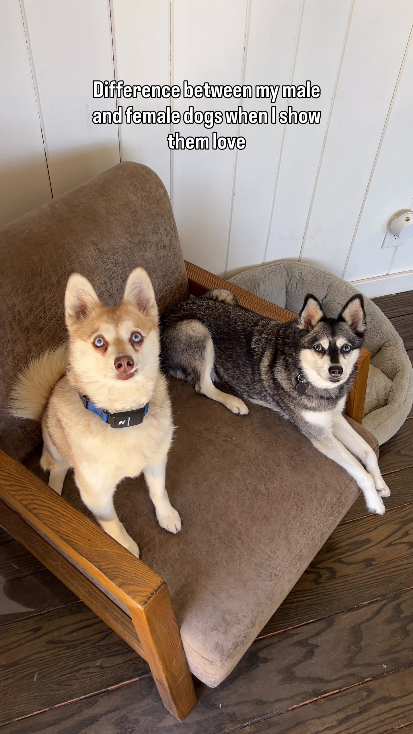 @lifewithkleekai