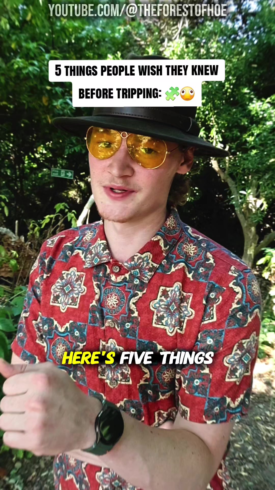 @ForestHope