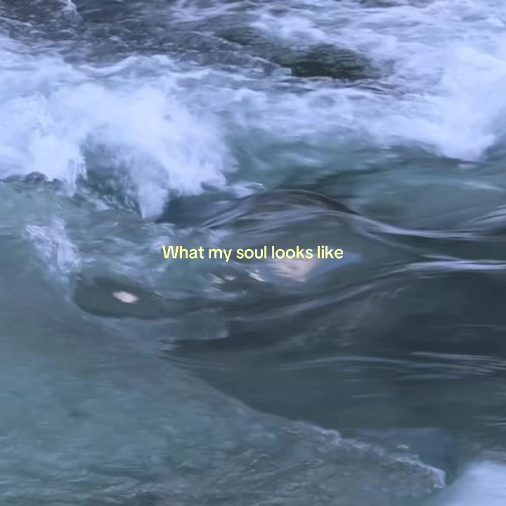 @𓍢ִ໋ 🦋 𝘈𝘦𝘭𝘷𝘦𝘯₊˚⊹
