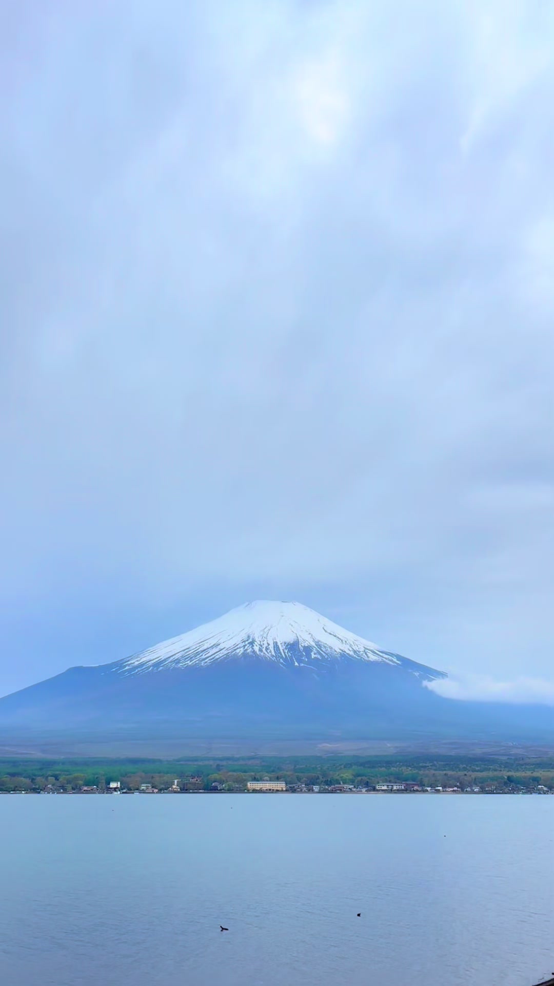 @𝔐arilyne
